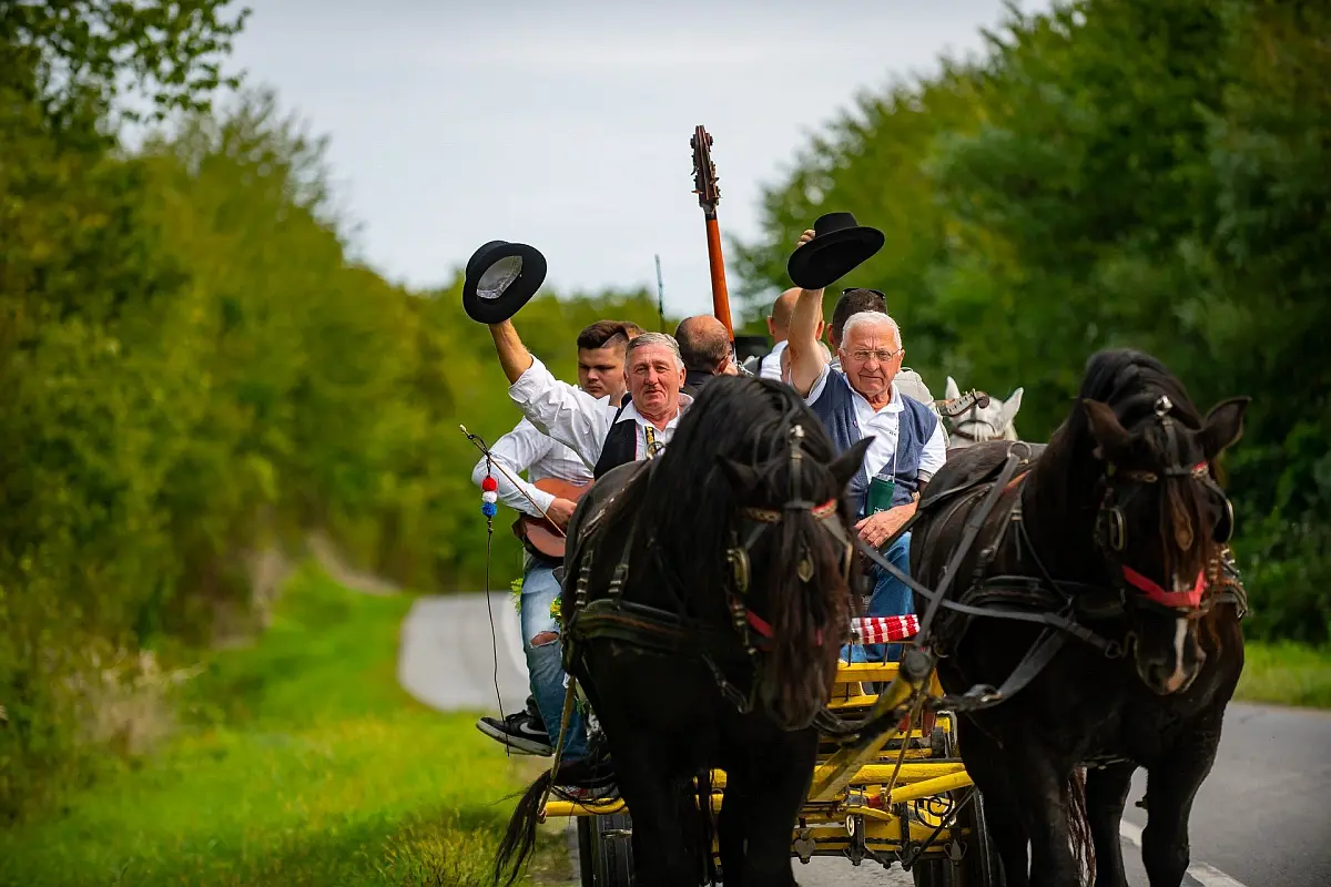 Festival Slavonija i Podravina wine not 2026. u Virovitičko-podravskoj županiji