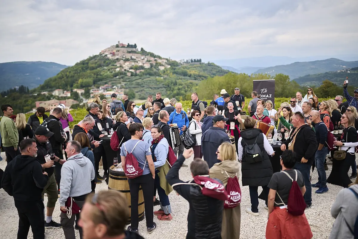 Wine & Walk manifestacije u Novigradu i Motovunu