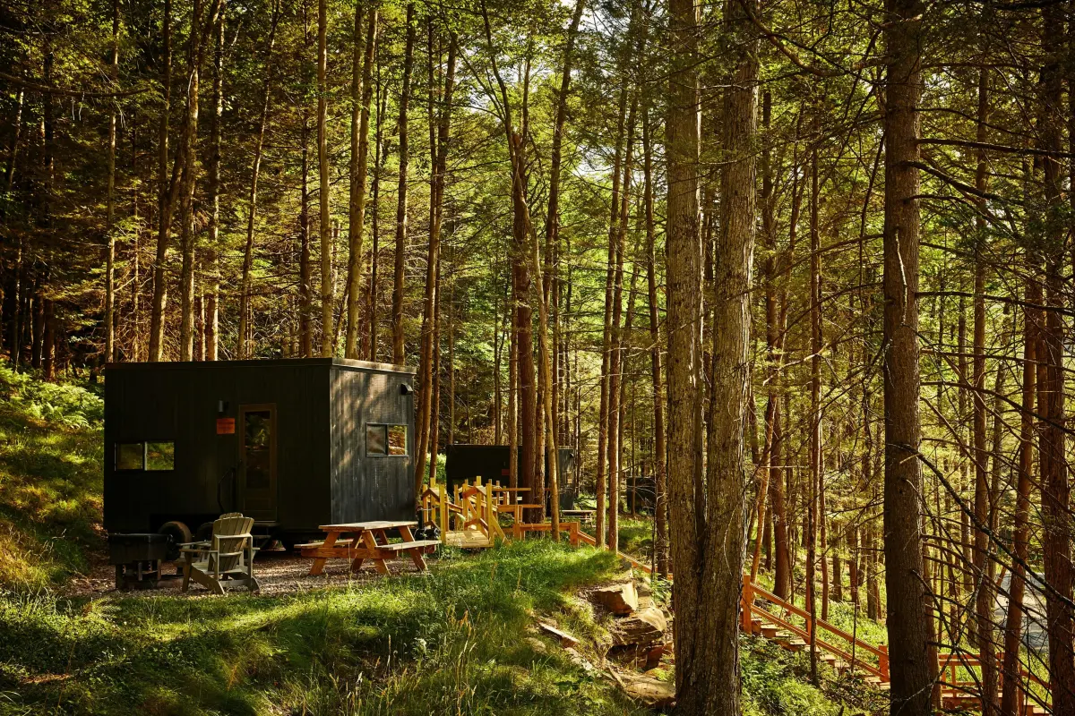 Catskills, SAD, Postcards