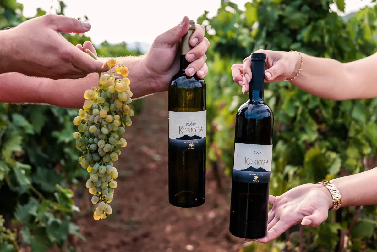 Vinarija Korčula Blato Korčula