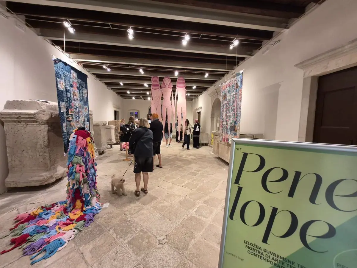 Nit Penelope