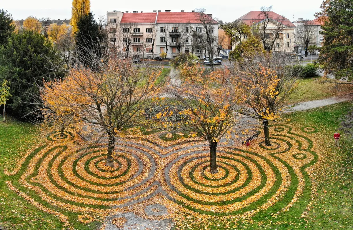 lisce art nikola faller krugovi