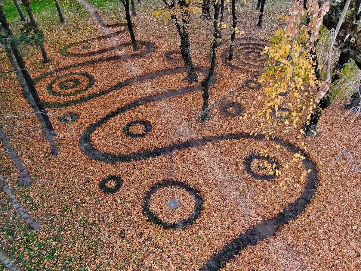 lisce ciklus land art Nikola Faller