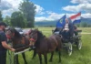 kočija marinko brkic bosna i hercegovina