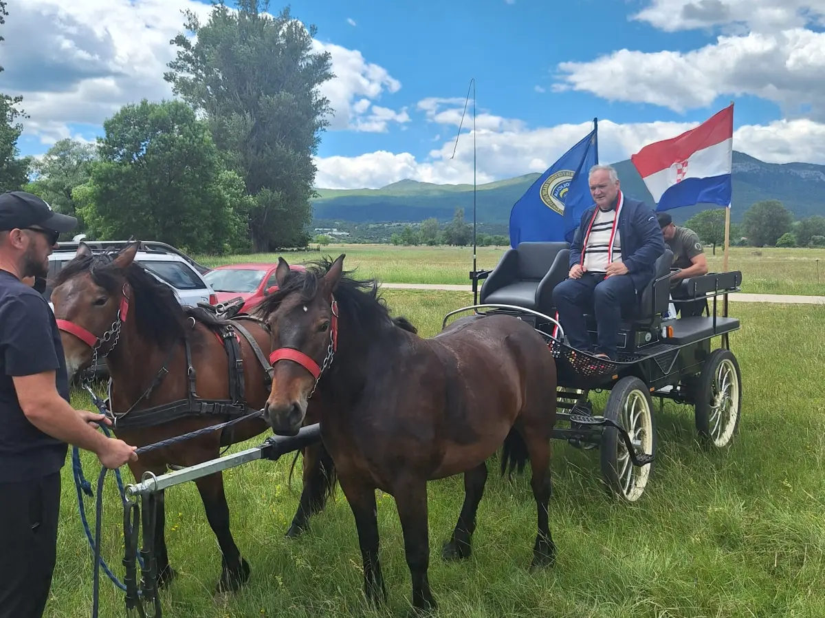kočija marinko brkic bosna i hercegovina